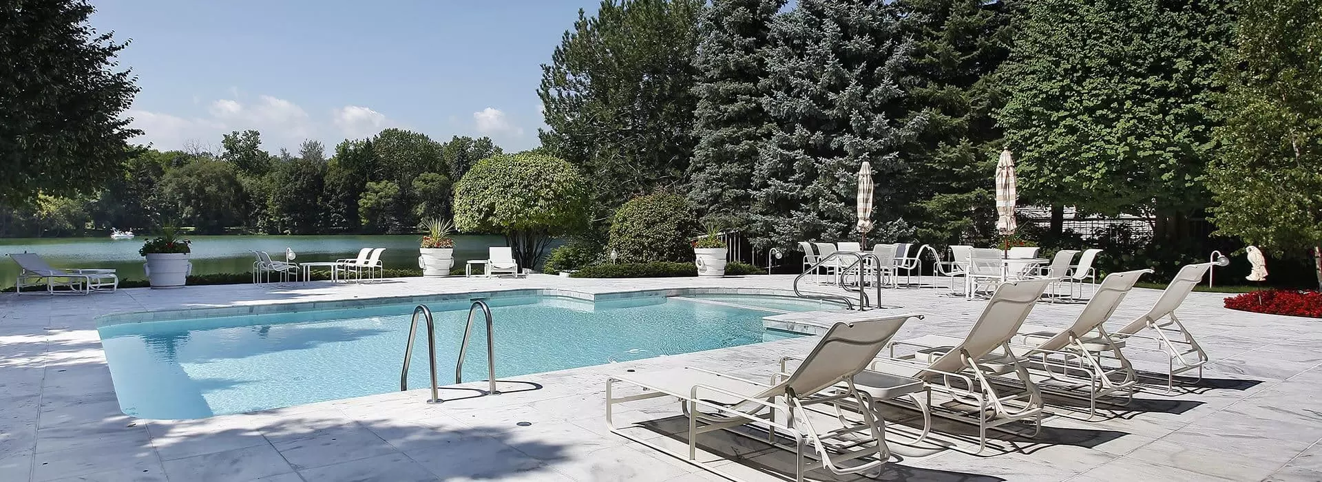 A swimming pool surrounded by trees